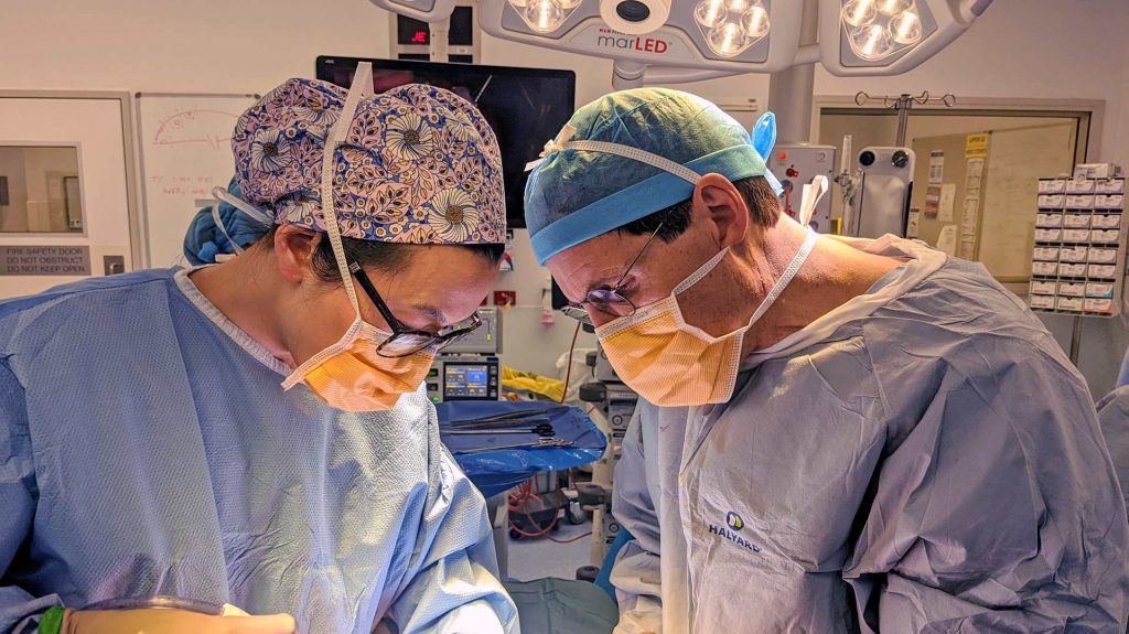Excellence in surgery: Becoming the “best” you can be